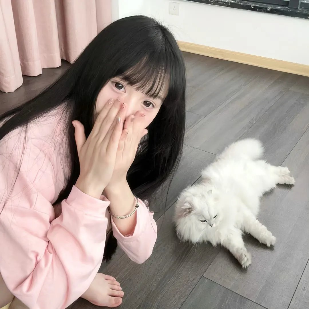 飞吧冰球